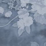 ᝰ [ ! ] Shadowkin art warehouse