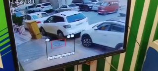 ספיר ליפקין