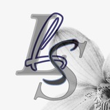 luminous_storre