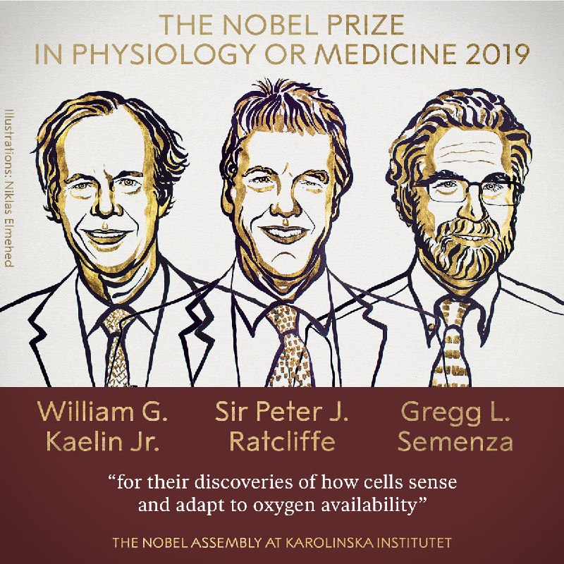 The Nobel Prize