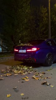 https://t.me/bmw_mpower_club