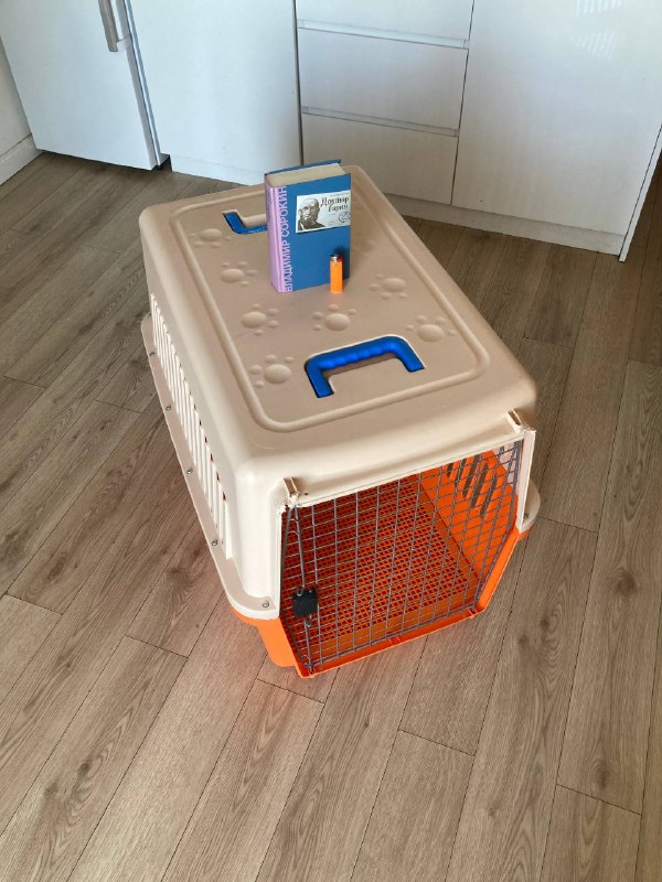 Контейнер для собаки + всё что на фото 3 — 200 ₾