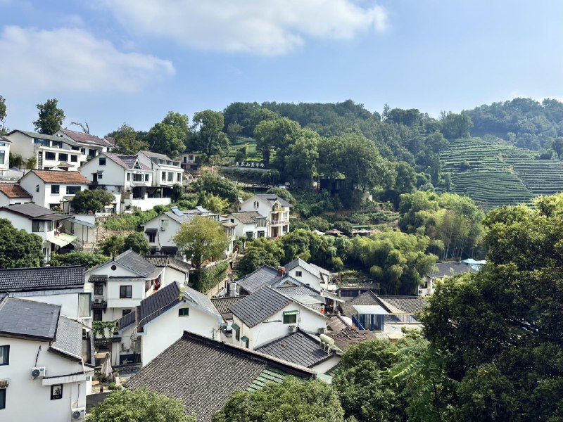 远离网络，沉浸式游走数日误入茶山，一览江湖远离网络，沉浸式游走数日误入茶山，一览江湖