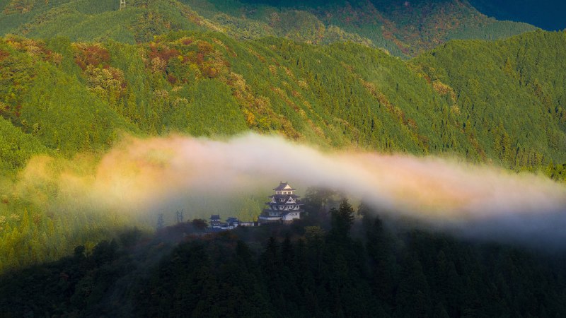 Castle in the cloudsGujō Hachiman Castle, Gifu prefecture, Japan (© ta2funk ito/500px/Getty Images)