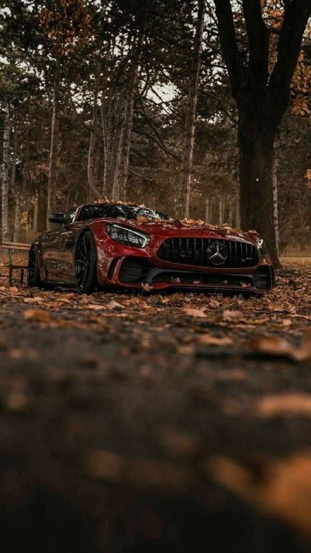 Mercedes Benz