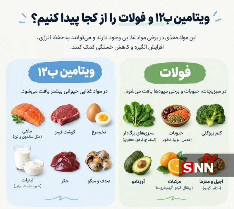 SNN.ir|خبرگزاری دانشجو: 🔴کمبود کدام ویتامین‌ها موجب کاهش انگیزه می‌شوند؟👈دریافت آخرین اخبار:سایت | ایتا | بله | روبیکا | سروش پلاس🆔 @snntv