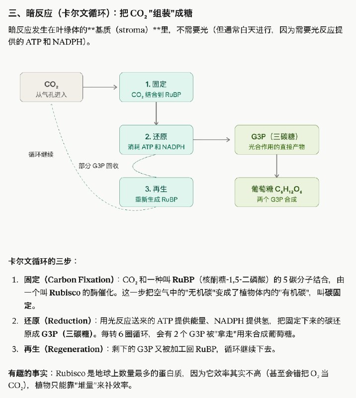 Claude 是真的好用，这也是官方敢随便封号的原因，有底气，你不用，有的是人用