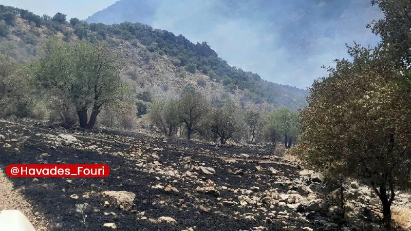 حوادث فوری ⚠️: مهار آتش سوزی گسترده در منطقه حفاظت شده شاهو و کوسالان کردستان🔹پس از حدود ۱۰ ساعت تلاش مستمر و حضور میدانی محیط بانان، ه