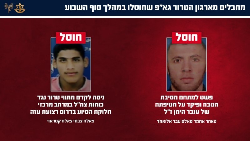 ניצן שפירא