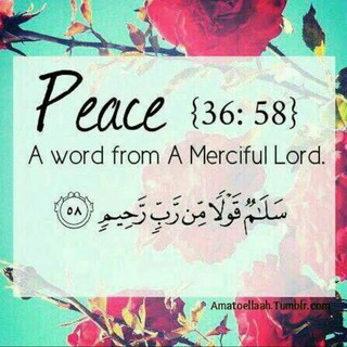 Islamic universe Telegram Group Link