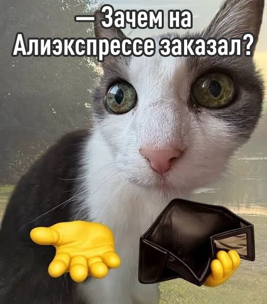 סחורה זרה תתייקר, שוב - דומא המדינה אימצה בקריאה ראשונה חוק של 22% מע"מ על הזמנות מחנויות זרות. זה ישפיע ממ…