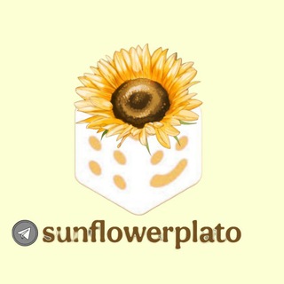 Sunflower plato group