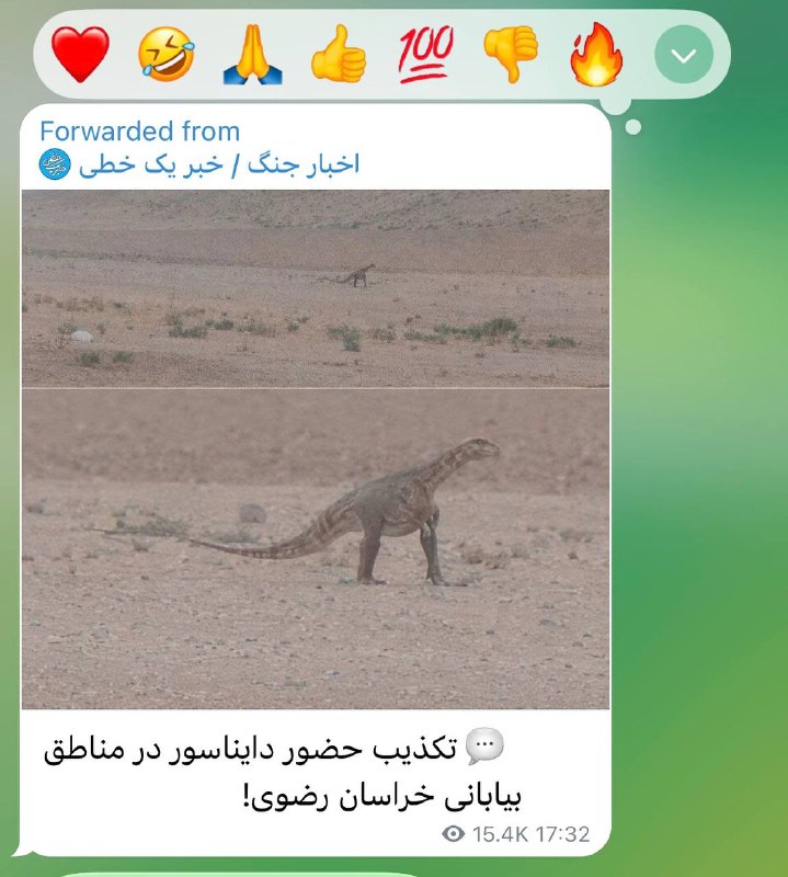 شکرستان: خراسان رضوی؛جایی برای آماتورها نیست…