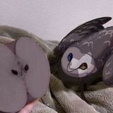 Софи это ты нет это Фезя