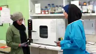 🎦 ייצור אנטיביוטיקה צמחית חדשה מהטבע של זגרוס