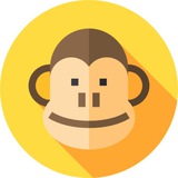 Minter Monkeys
