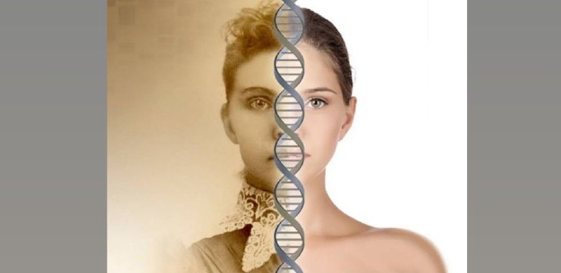 کتابخانه دانشگاهی: فکت تلخ اما واقعی: درنهایت خیلی چیزا برمیگرده به ژنتیکظاهر، بعضی ویژگیهای اخلاقی، هوش و حتی استعداد ابتلا به بعضی بیما