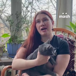 Самая лютая доносчица России найдена в Екатеринбурге — она написала больше 500 жалоб на знаменитостей и политикой. В списке ябеды — Шаман, губернатор Калифорнии и даже ОНН.40-летняя экс-следовательница Екатерина в разговоре с Mash призналась: стучит по зов