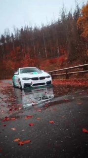 https://t.me/bmw_mpower_club