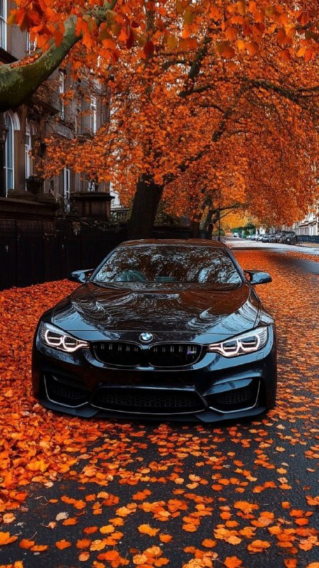 BMW M Powerhttps://t.me/bmw_mpower_club#bmw #mpower #bmwmpower #bmwworld #bmwmpo