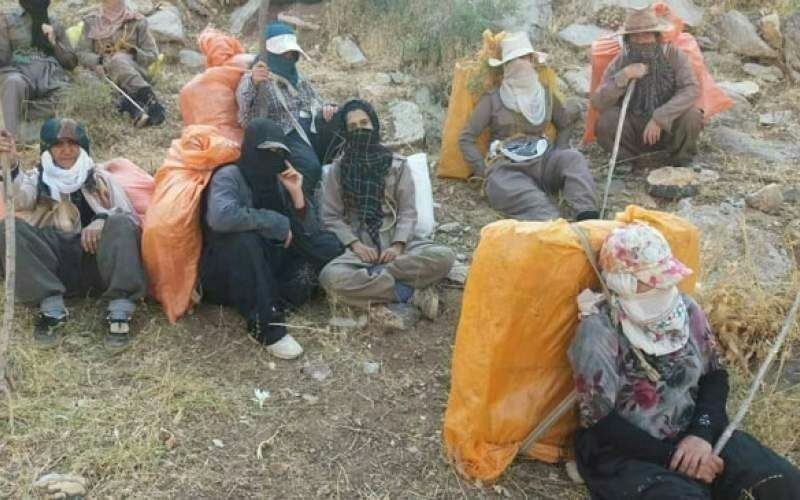 اتحاد سراسری کارگران و بازنشستگان ایران: چشم به راهبرای یک تکه نان کول‌بر شدم ...دخترم گشین ! تو بدان پدر مظلومانه گلوله خورداز محتسب شب باروتی...برای نان کوچک س