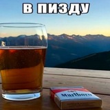 алефка подписывает контракт