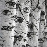 ᝰ𖥻 ׁ ׅ 𝐈𝓬𝛂ᦓo̲u̲l̲ [𝐒𝐡𝐚𝐝𝐨𝐰𝐤𝐢𝐧]﹒ ◡◡