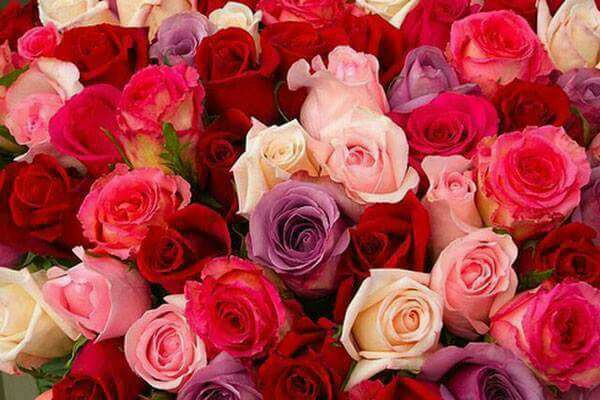 🍭 زندگی آبنباتی 🍭: صبح قشنگتون بخیرروزتون پر از زیبایی...همراه با خیر و برکت...🍭 @abnabatti