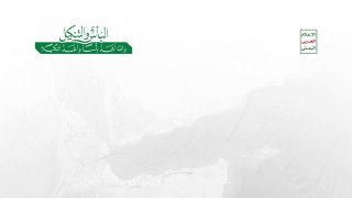 🎥 Militant armed elements supported by Saudi Arabia under Yemeni missile fire
