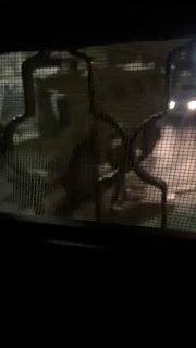 The occupation forces raided several houses and fired sound bombs during the raid on the city of Hebron