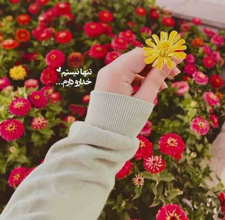 🌴 ➫ོ𖤇صــَِِّْْْْـٍِْْاحبـدلـ❤️ــَِِّْْْْـٍِْْانٖٖٖٖٓ 🌴: نیایش صبحگاهی 🌺🍃🌺خدایا 🙏 درروز پنجشنبه🌺بهترین هارانصیبمان ڪن و بر ایمانمان بیافزا🙏اقبالے روشن وعاقبت نورانے برای دوستانم