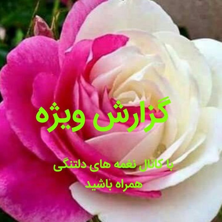 نغمه های دلتنگی: #گزارش_ویژه 🎤با #کانال_نغمه_های_دلتنگی همراه باشید@soorat_im