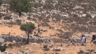 מתנחלים ממשיכים בהתקפותיהם על רכושם של אנשים, גונבים אותם ומעבירים אותם לטובת מאחז ההתנחלויות שהוקם על אדמו…