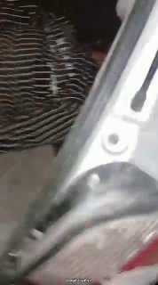 صورة المنشور