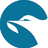 سار مديا
