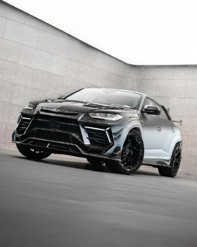 Mansory Venatus EVO S@sochiautopartssochiautoparts.ru#sochiautoparts