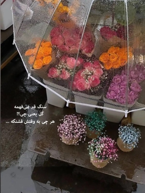 ️گالری عکس و پروفایل: ⭐️@aks_profilestar