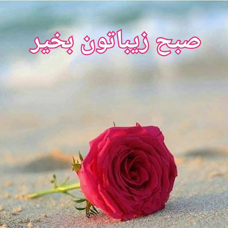 ๑۩۞ø¤º°سرای محبت °º¤ø۞۩๑: ســــلام 🍃صبح بخیر امـروزتـان 🍃سرشاراز آرامشمـهر و مـحبت 🍃نشان لبخند خـدا در زنـدگی اسـت🍃ان شا الله نگاه خـدا توجه و لبخ