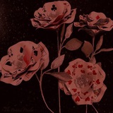 ⧼♤ ⃝🎲運命の骨ᴵᶰᶠᵒ