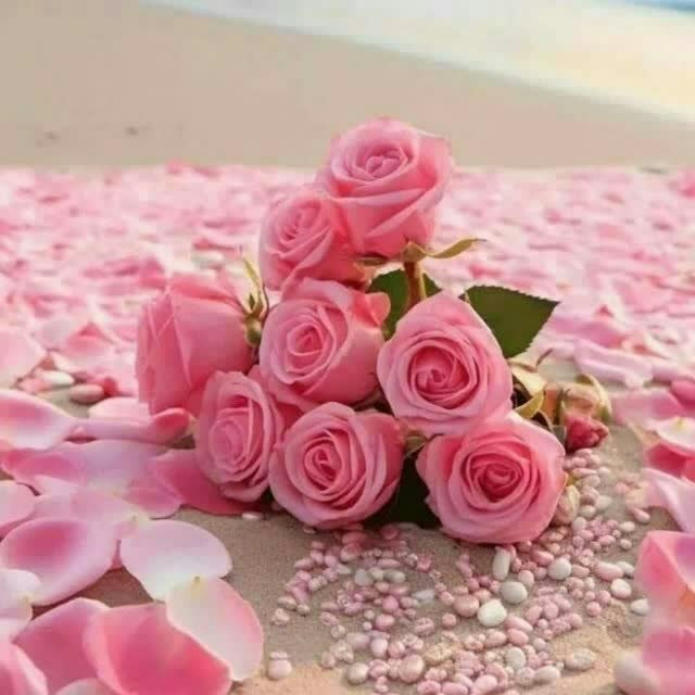 🌹شـــیـخ نخـــودکی اصفهـــانی🌹: الگوی زیبایی برای دیگران باش😊سعی کن کسی که تو را می ببیند، آرزو کند مثل تو باشد.از ایمان،از عقیده،از عبادت،از اخلاق،از ت