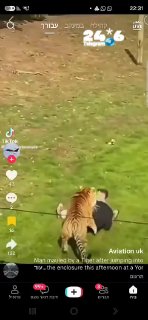 🇮🇱 Viewing warning: A man was killed by a tiger after he entered his enclosure at the Yorkshire Zoo in the United Kingdom (the video stopped before the fatal bite).