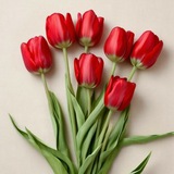 🌷Донияграм •Пространство творческих челленджей и вдохновения