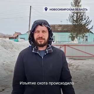 Новосибирский государственный телеканал ОТС опубликовал видео с неназванными людьми, которые утверждают, что все процедуры по изъятию скота прошли по закону и они довольны выплаченными компенсациями.Герои ролика утверждают: «Изъятие скота происходило со вс