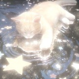 ᓵ𝙹リᓵᒷリℸ ̣ ∴╎ℸ ̣⍑ ↸𝙹ᓭᒷ