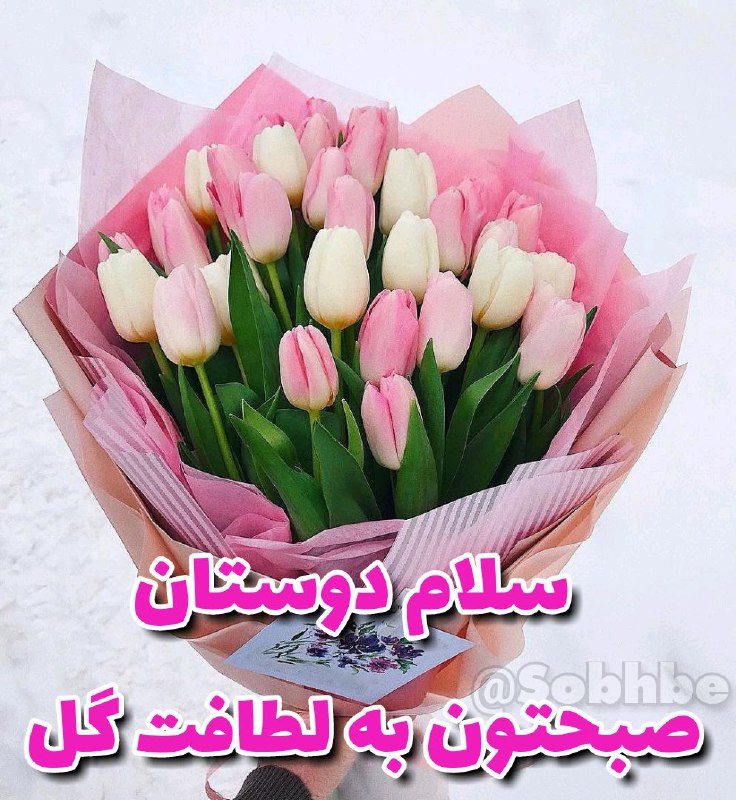 ❤ذوق مستان❤️: 🌸صبح شد این صبحگاه🌷روشن و زیبا بخیر🌸بامداد دلکش و🌷دلچسب و روح افزا بخیر🌸صد سلام از من🌷به دستان پراز مهر شما🌸صبح من صبح ش