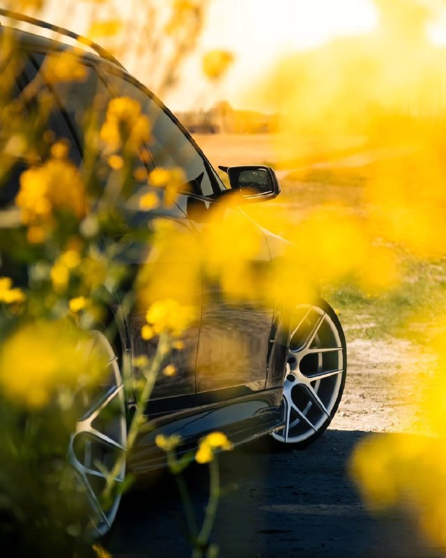 BMW E61 530i 10