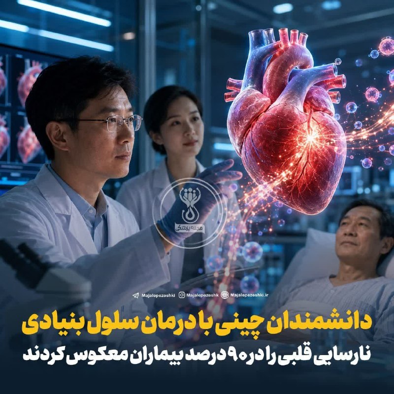 امروله: دانشمندان چینی با درمان سلول بنیادی نارسایی قلبی را در ۹۰ درصد بیماران معکوس کردند!🔹در یک کارآزمایی بالینی در چین، درمان