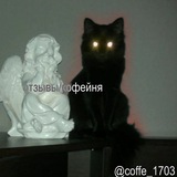 отзывы ! !