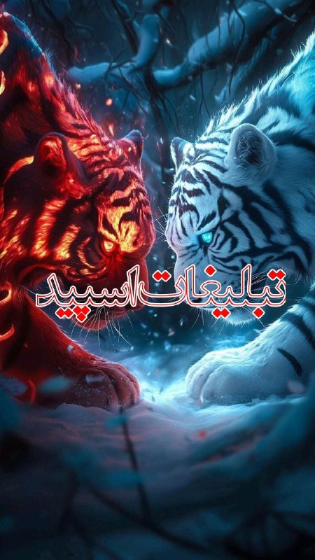 لینکدونی چت گروه مشهد: ❶﹚ نام : کؒلؒبٖؒـٖؒہٖؒ ےؒمؒجٖؒاؒزٖؒےؒبٖؒاٖؒבؒوؒستٖؒاٖؒنٖؒوٖؒاؒقٖؒعٖؒی❷﹚ نو؏ تبلیغات : #telegram❸﹚ توضیحات :کلبه ی ما ویی