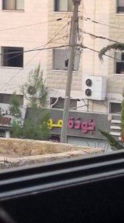 מעקב במשך יותר מ-8 שעות על ההסתערות על בורין וארסטאט, חקירות שדה ותפיסת בתי צריפים צבאיים
